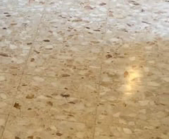 Protection des tomettes, carreaux ciment, et autres...