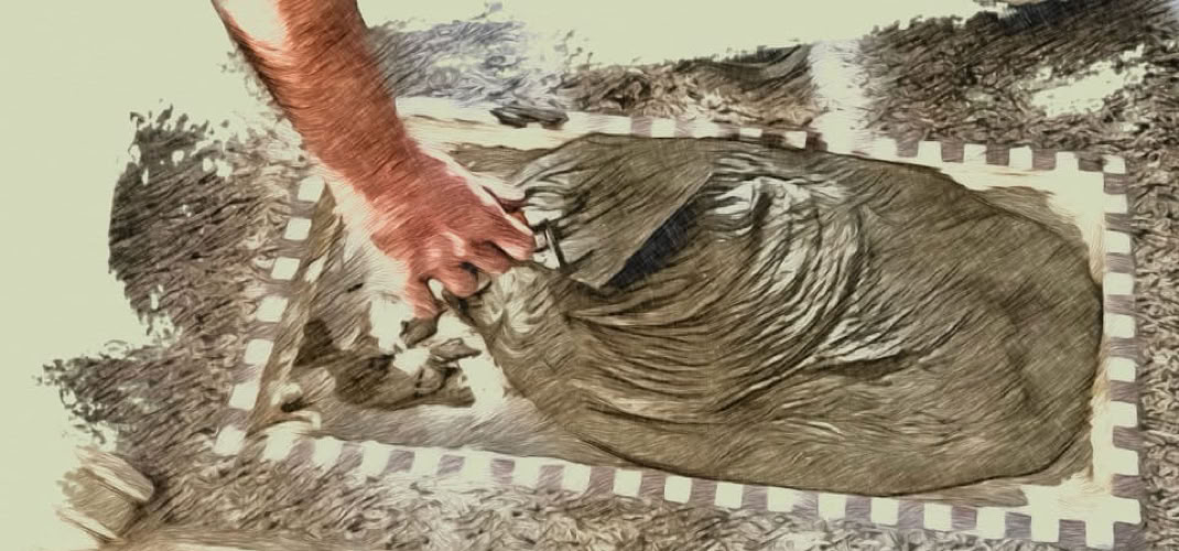 Création d’un paillasson en Terrazzo