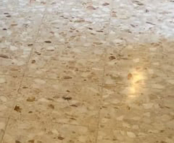Protection des tomettes, carreaux ciment, et autres...