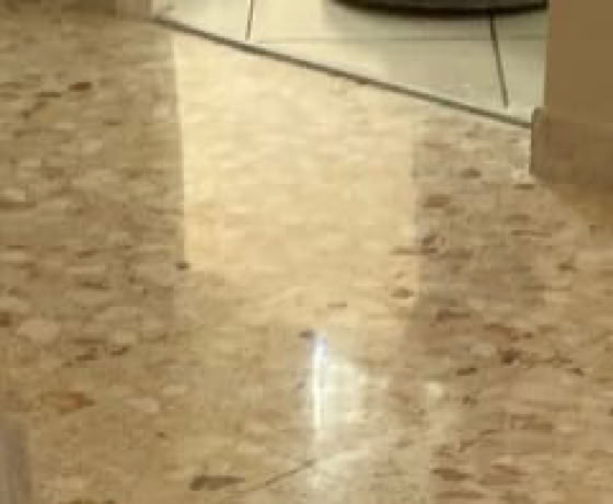 Rénovation de Terrazzo de coquillages