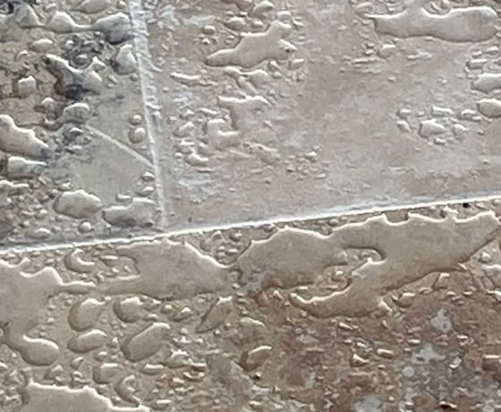 Image montrant le résultat final d'une rénovation avec traitement sur un sol en carreaux ciment.