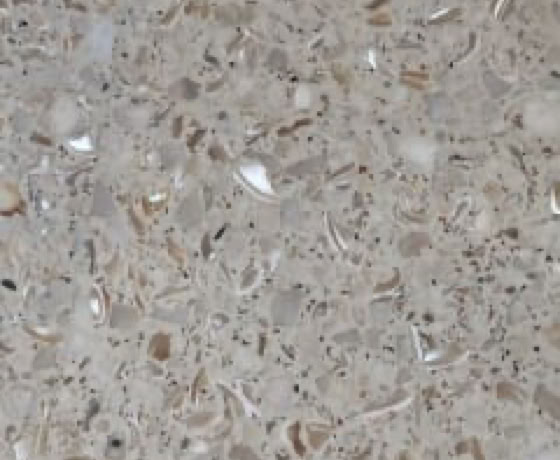 Réparation et rénovation de Terrazzo