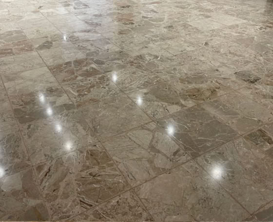 Rénovation de Terrazzo de coquillages